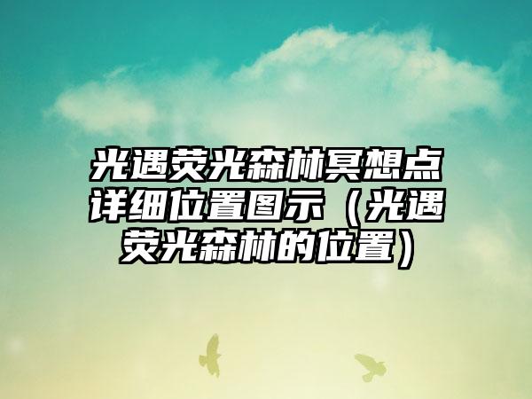 光遇荧光森林冥想点详细位置图示（光遇荧光森林的位置）