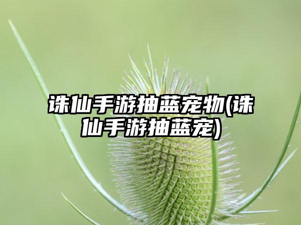 诛仙手游抽蓝宠物(诛仙手游抽蓝宠)