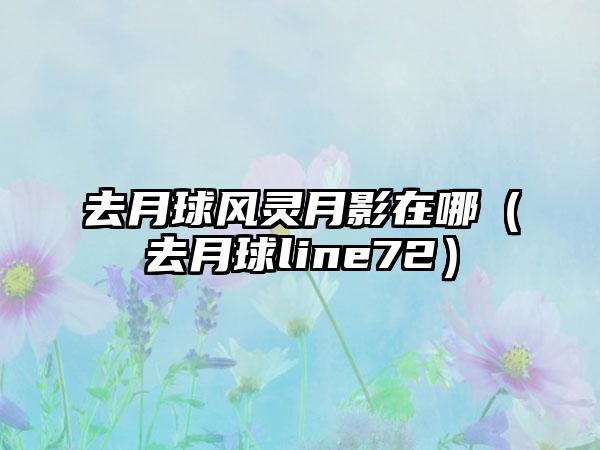 去月球风灵月影在哪（去月球line72）