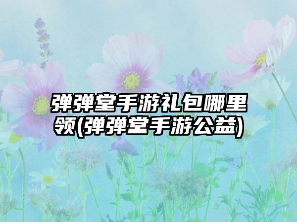 弹弹堂手游礼包哪里领(弹弹堂手游公益)