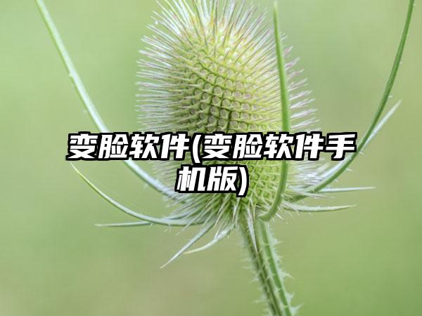 变脸软件(变脸软件手机版)
