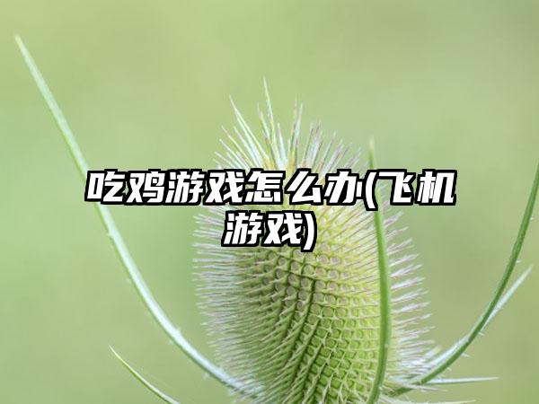 吃鸡游戏怎么办(飞机游戏)