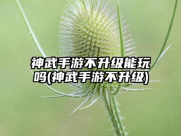 神武手游不升级能玩吗(神武手游不升级)
