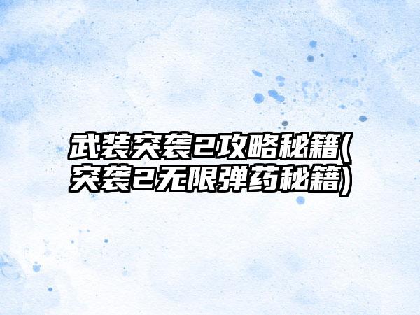 武装突袭2攻略秘籍(突袭2无限弹药秘籍)