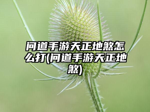 问道手游天正地煞怎么打(问道手游天正地煞)