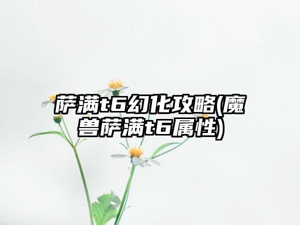 萨满t6幻化攻略(魔兽萨满t6属性)