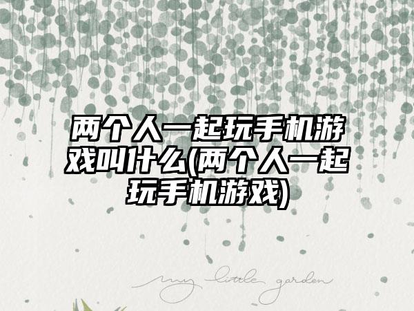 两个人一起玩手机游戏叫什么(两个人一起玩手机游戏)