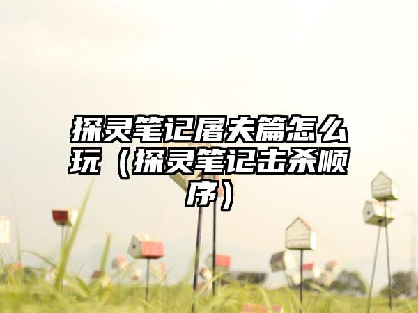 探灵笔记屠夫篇怎么玩（探灵笔记击杀顺序）