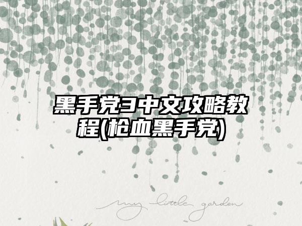 黑手党3中文攻略教程(枪血黑手党)