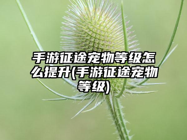 手游征途宠物等级怎么提升(手游征途宠物等级)