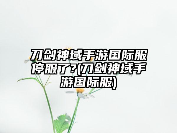 刀剑神域手游国际服停服了?(刀剑神域手游国际服)