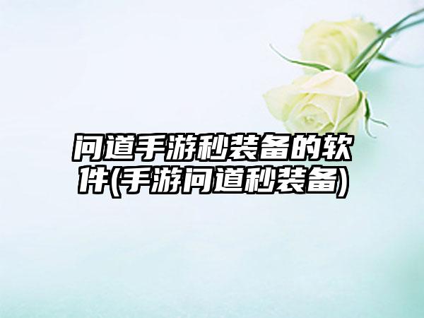 问道手游秒装备的软件(手游问道秒装备)