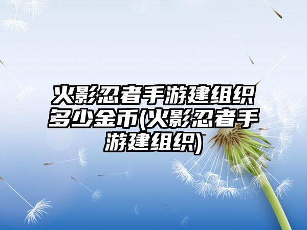 火影忍者手游建组织多少金币(火影忍者手游建组织)