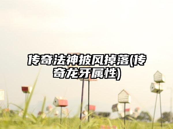 传奇法神披风掉落(传奇龙牙属性)