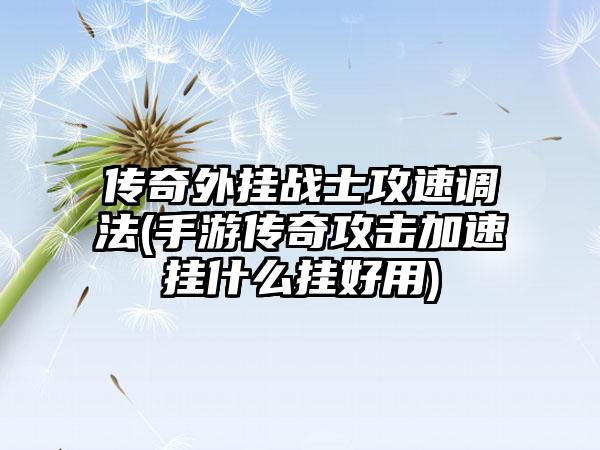 传奇外挂战士攻速调法(手游传奇攻击加速挂什么挂好用)