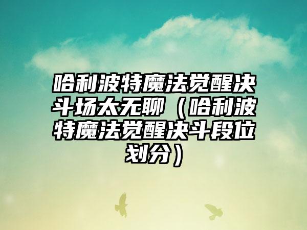 哈利波特魔法觉醒决斗场太无聊（哈利波特魔法觉醒决斗段位划分）