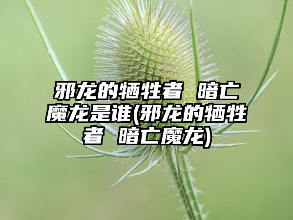 邪龙的牺牲者 暗亡魔龙是谁(邪龙的牺牲者 暗亡魔龙)