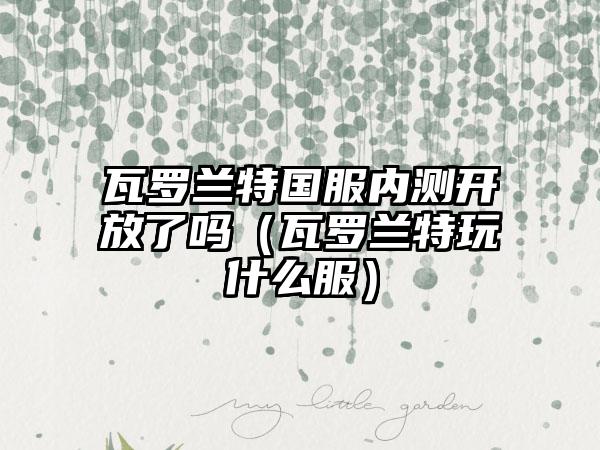 瓦罗兰特国服内测开放了吗（瓦罗兰特玩什么服）