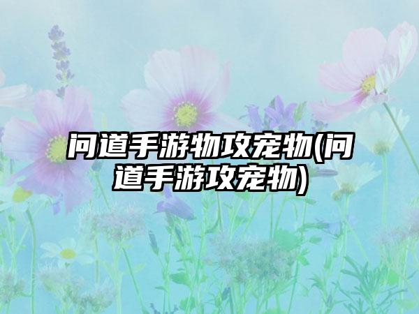 问道手游物攻宠物(问道手游攻宠物)