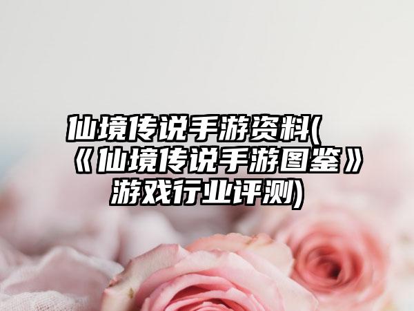 仙境传说手游资料(《仙境传说手游图鉴》游戏行业评测)