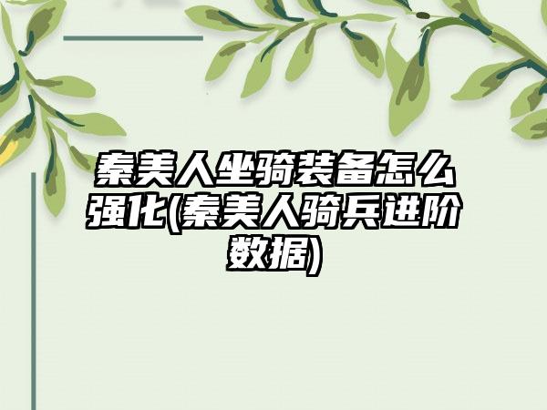 秦美人坐骑装备怎么强化(秦美人骑兵进阶数据)