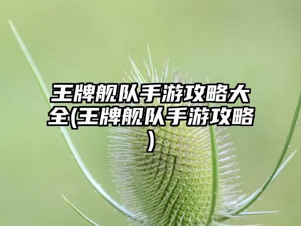 王牌舰队手游攻略大全(王牌舰队手游攻略)