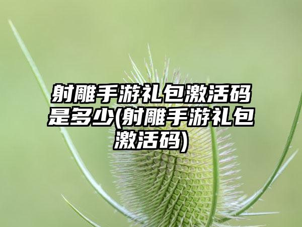 射雕手游礼包激活码是多少(射雕手游礼包激活码)