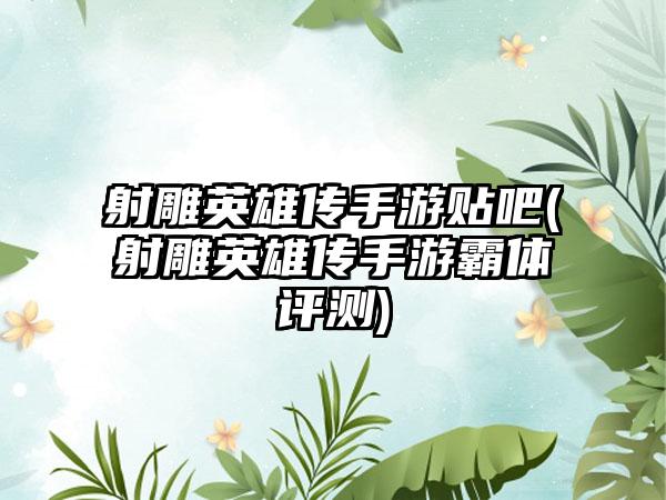 射雕英雄传手游贴吧(射雕英雄传手游霸体评测)