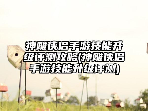 神雕侠侣手游技能升级评测攻略(神雕侠侣手游技能升级评测)