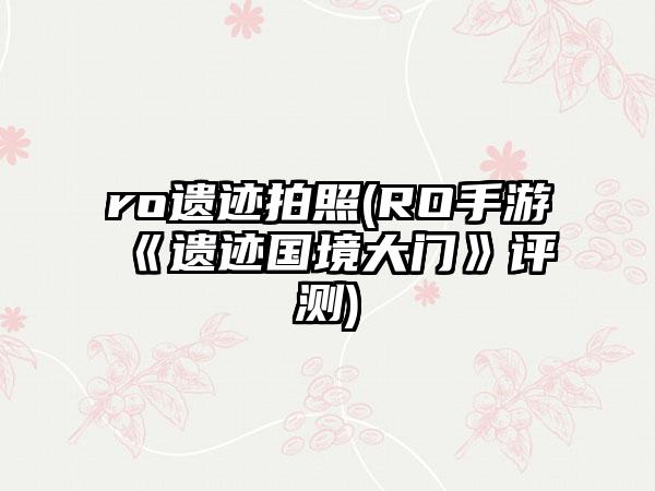 ro遗迹拍照(RO手游《遗迹国境大门》评测)