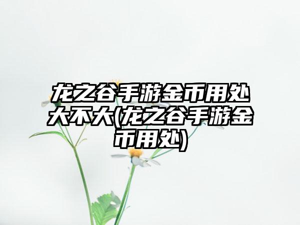 龙之谷手游金币用处大不大(龙之谷手游金币用处)
