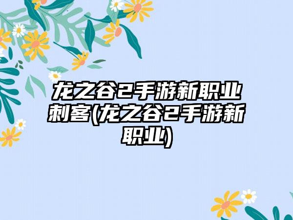龙之谷2手游新职业刺客(龙之谷2手游新职业)