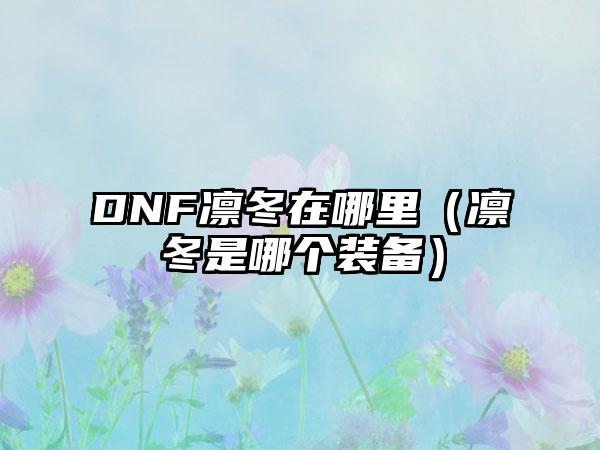 DNF凛冬在哪里（凛冬是哪个装备）