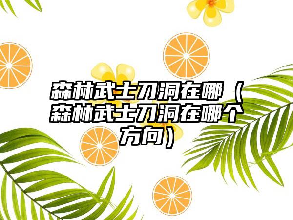 森林武士刀洞在哪（森林武士刀洞在哪个方向）