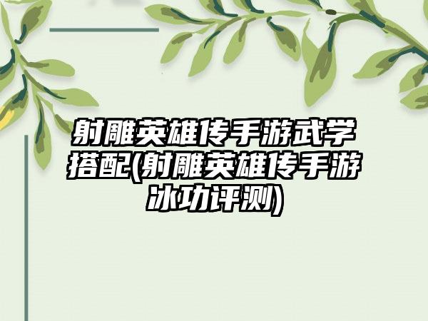 射雕英雄传手游武学搭配(射雕英雄传手游冰功评测)