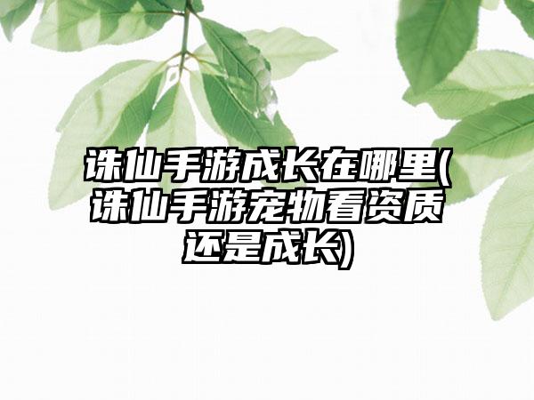 诛仙手游成长在哪里(诛仙手游宠物看资质还是成长)