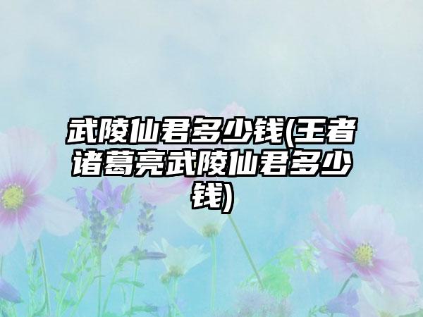武陵仙君多少钱(王者诸葛亮武陵仙君多少钱)