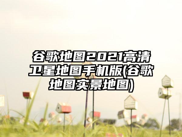 谷歌地图2021高清卫星地图手机版(谷歌地图实景地图)