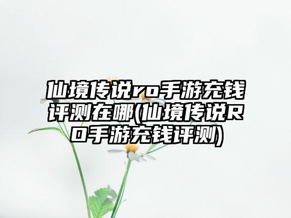 仙境传说ro手游充钱评测在哪(仙境传说RO手游充钱评测)
