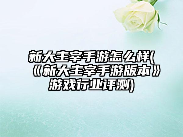 新大主宰手游怎么样(《新大主宰手游版本》游戏行业评测)