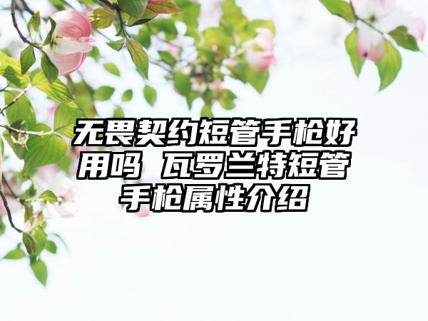 无畏契约短管手枪好用吗 瓦罗兰特短管手枪属性介绍