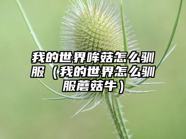 我的世界哞菇怎么驯服（我的世界怎么驯服蘑菇牛）