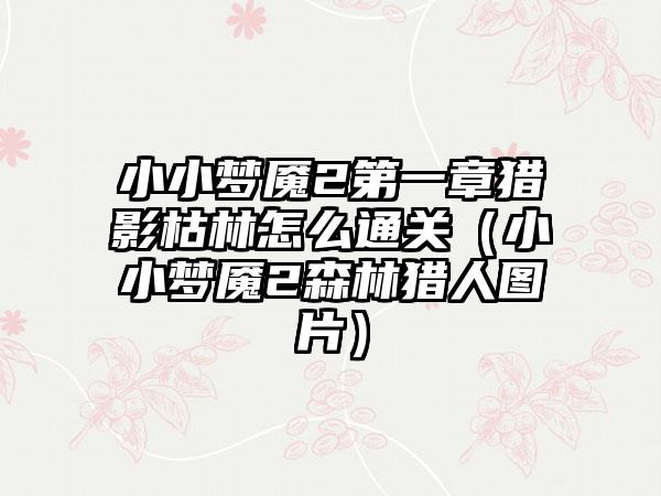 小小梦魇2第一章猎影枯林怎么通关（小小梦魇2森林猎人图片）