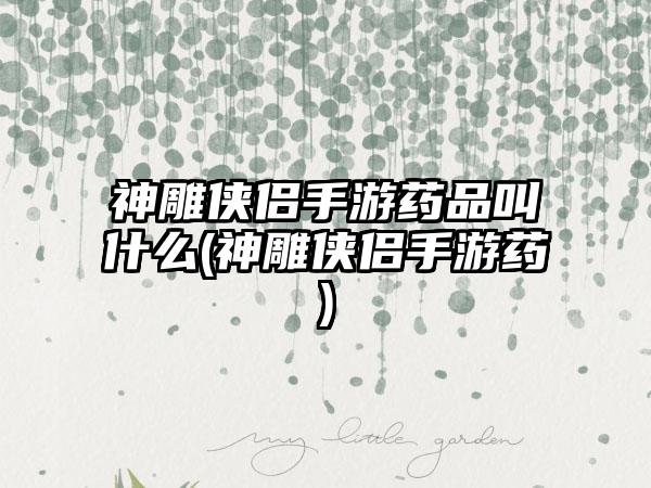 神雕侠侣手游药品叫什么(神雕侠侣手游药)