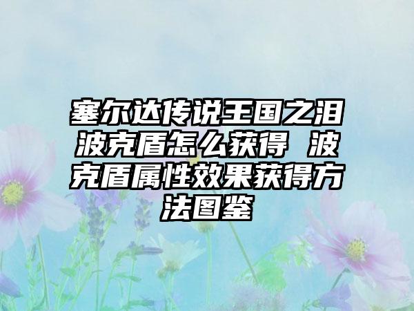 塞尔达传说王国之泪波克盾怎么获得 波克盾属性效果获得方法图鉴