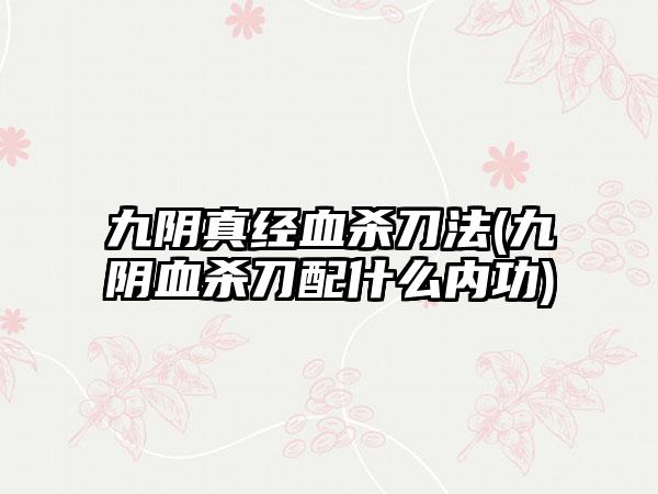 九阴真经血杀刀法(九阴血杀刀配什么内功)