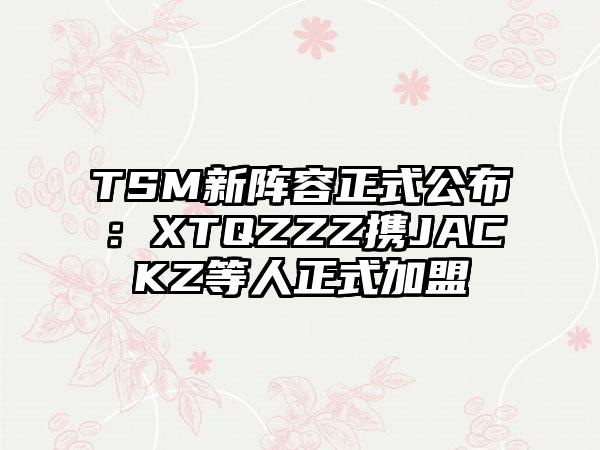 TSM新阵容正式公布：XTQZZZ携JACKZ等人正式加盟