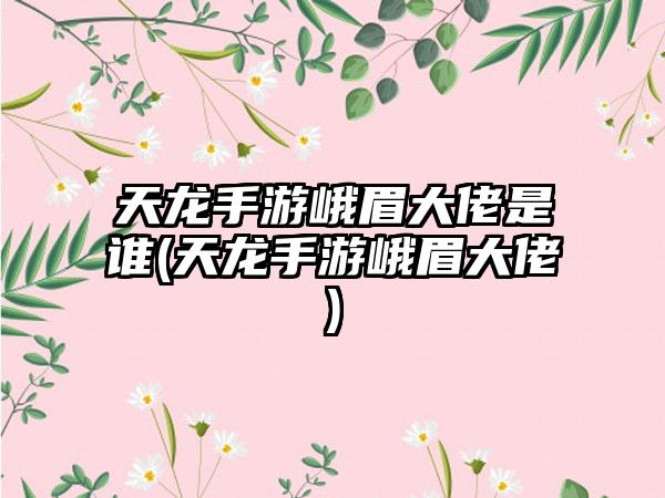 天龙手游峨眉大佬是谁(天龙手游峨眉大佬)