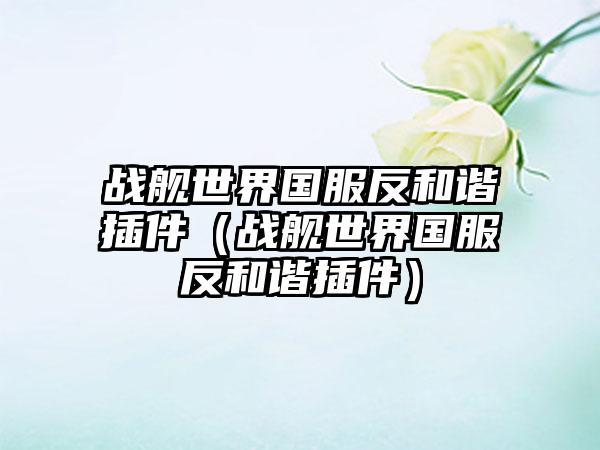 战舰世界国服反和谐插件（战舰世界国服反和谐插件）