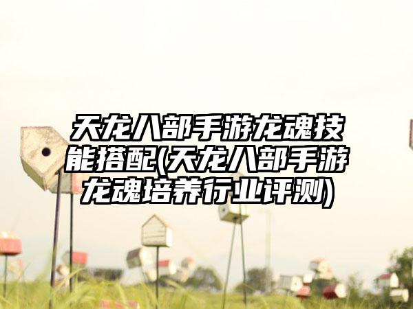 天龙八部手游龙魂技能搭配(天龙八部手游龙魂培养行业评测)